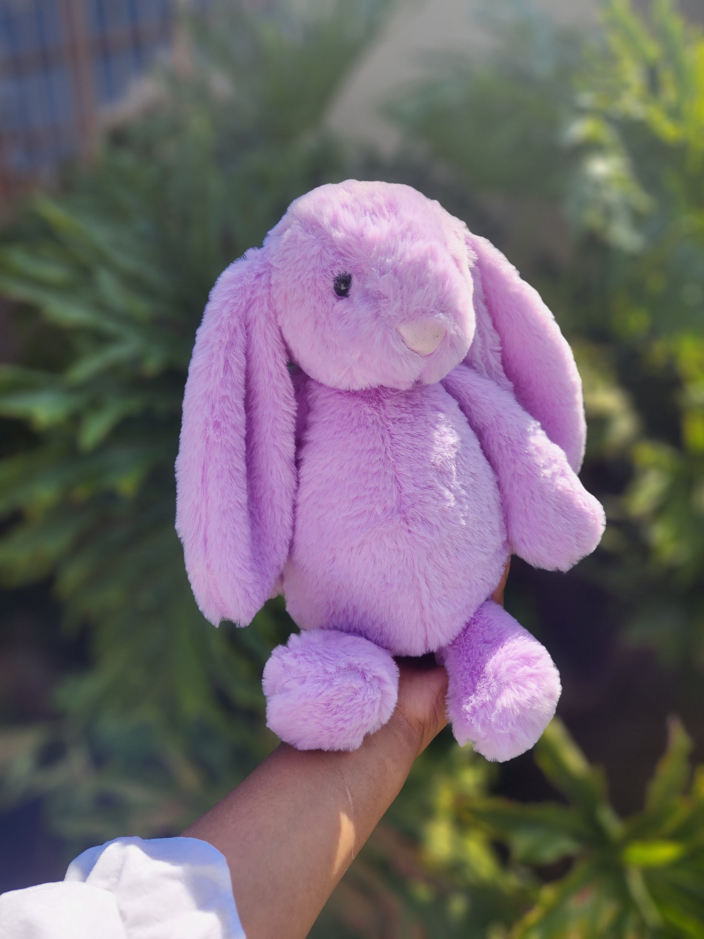 Floppy Eared Bunny Teddy
