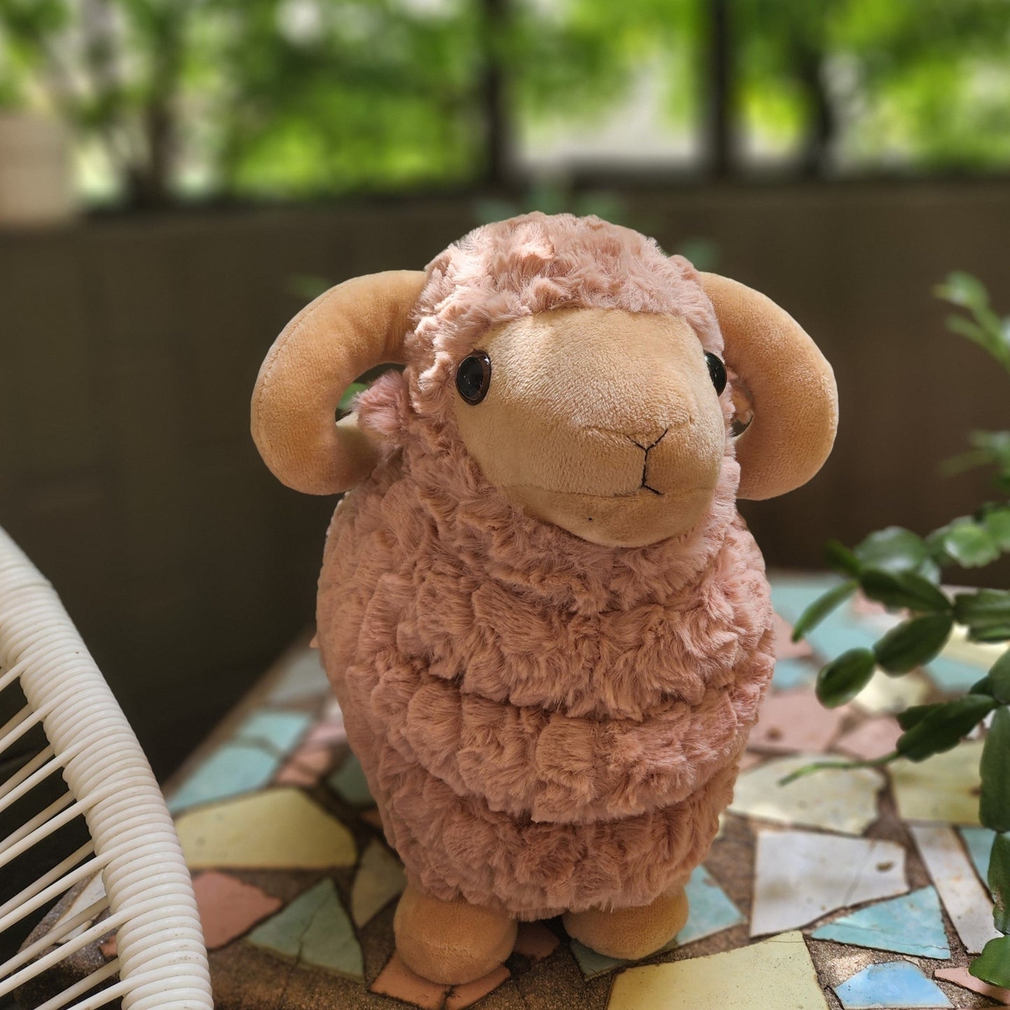 Cuddly Rams