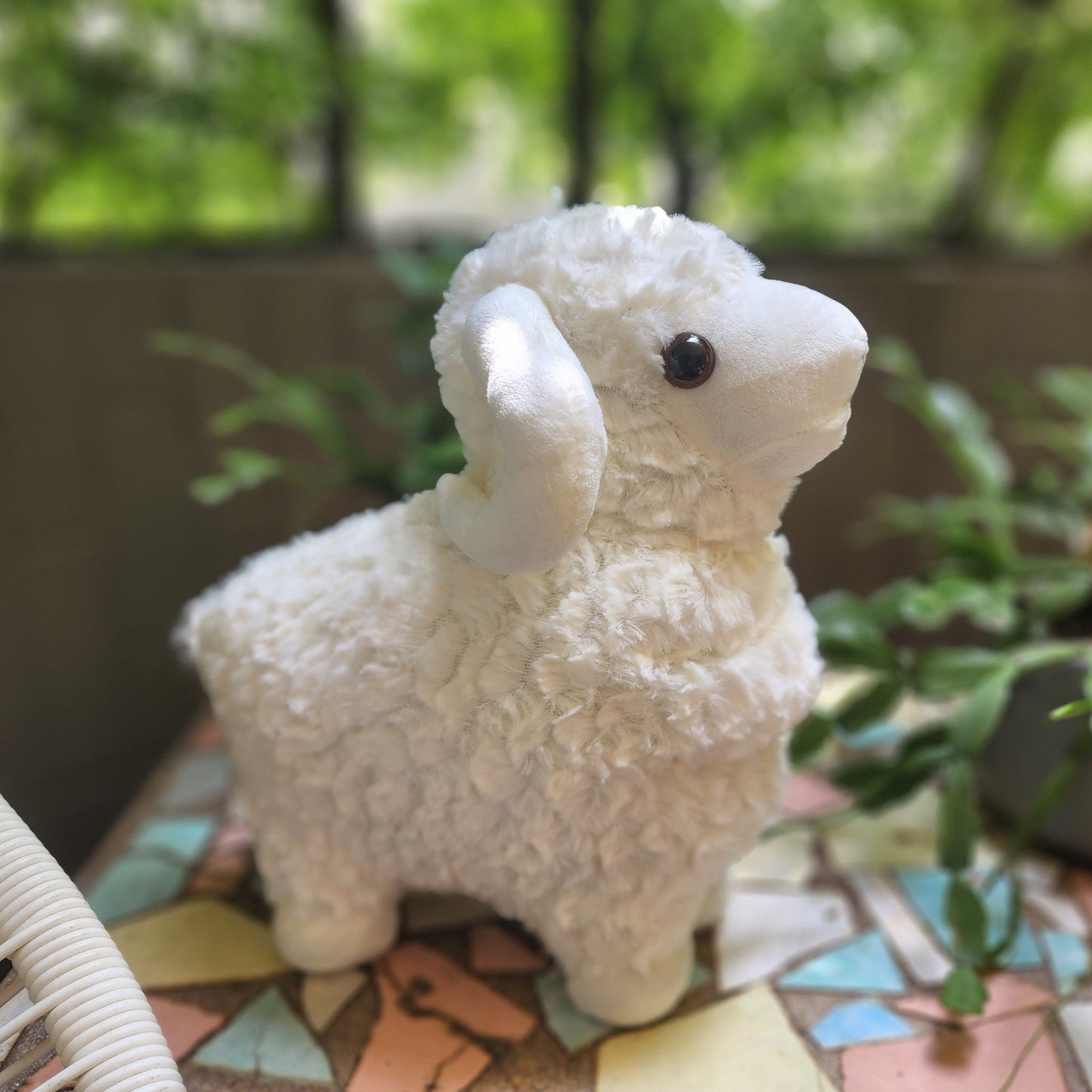 Cuddly Rams