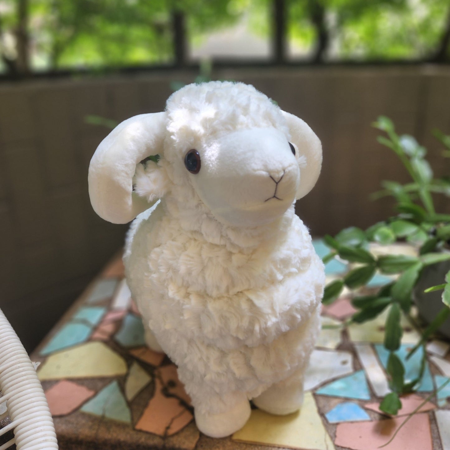 Cuddly Rams