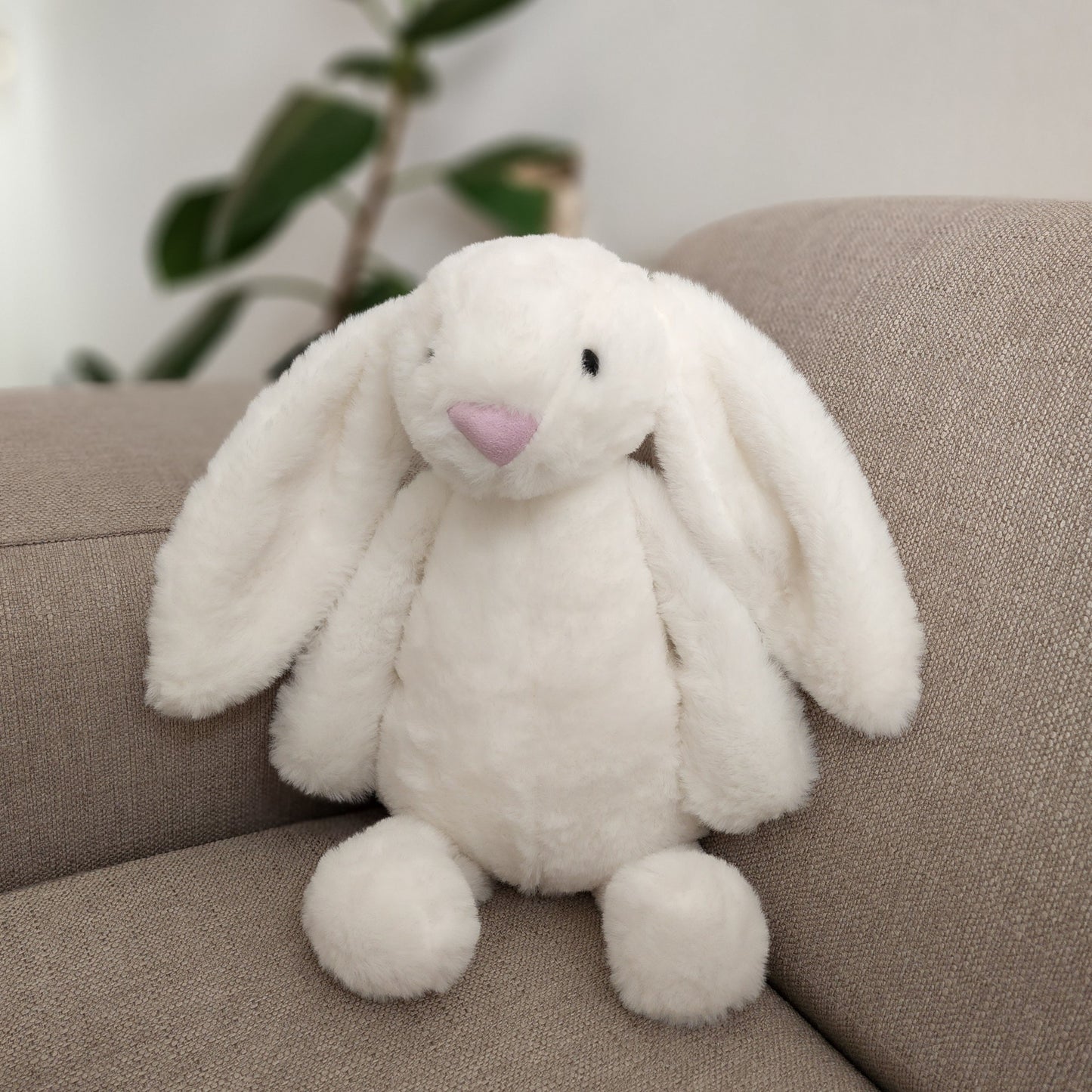 Floppy Eared Bunny Teddy