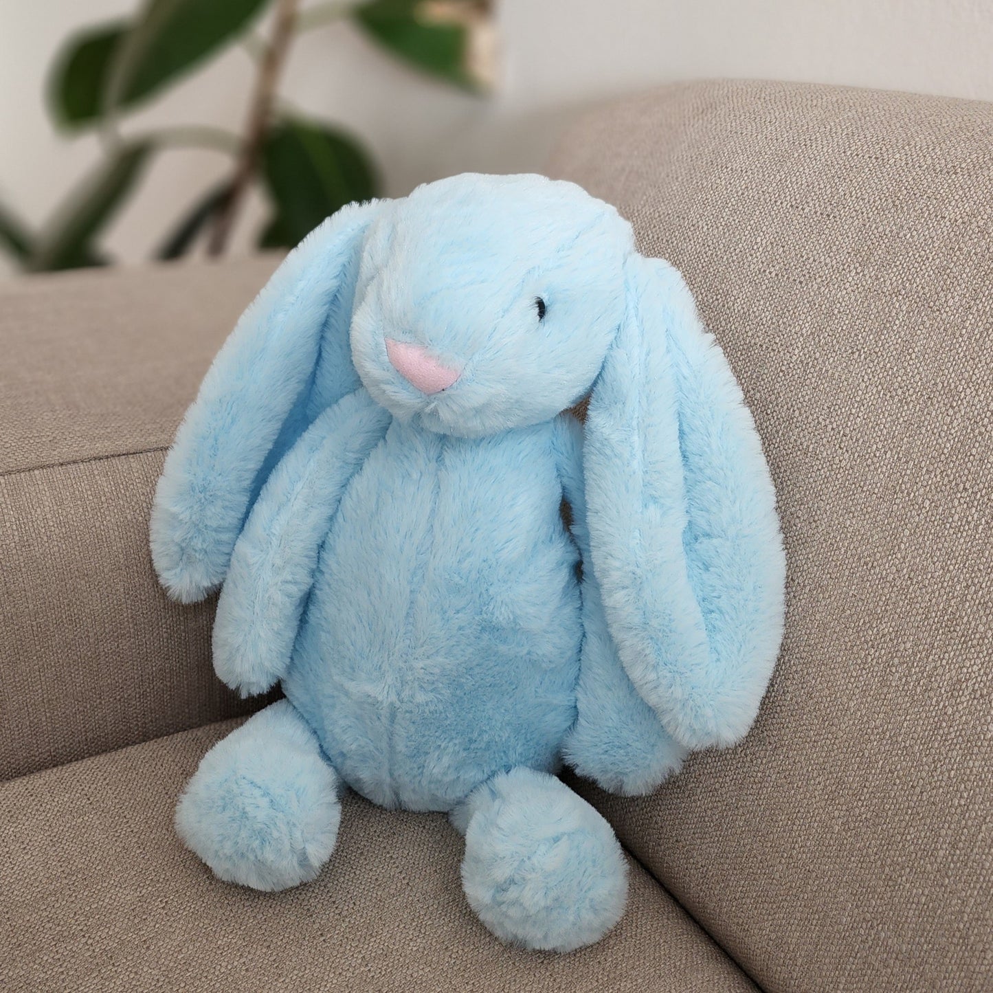 Floppy Eared Bunny Teddy
