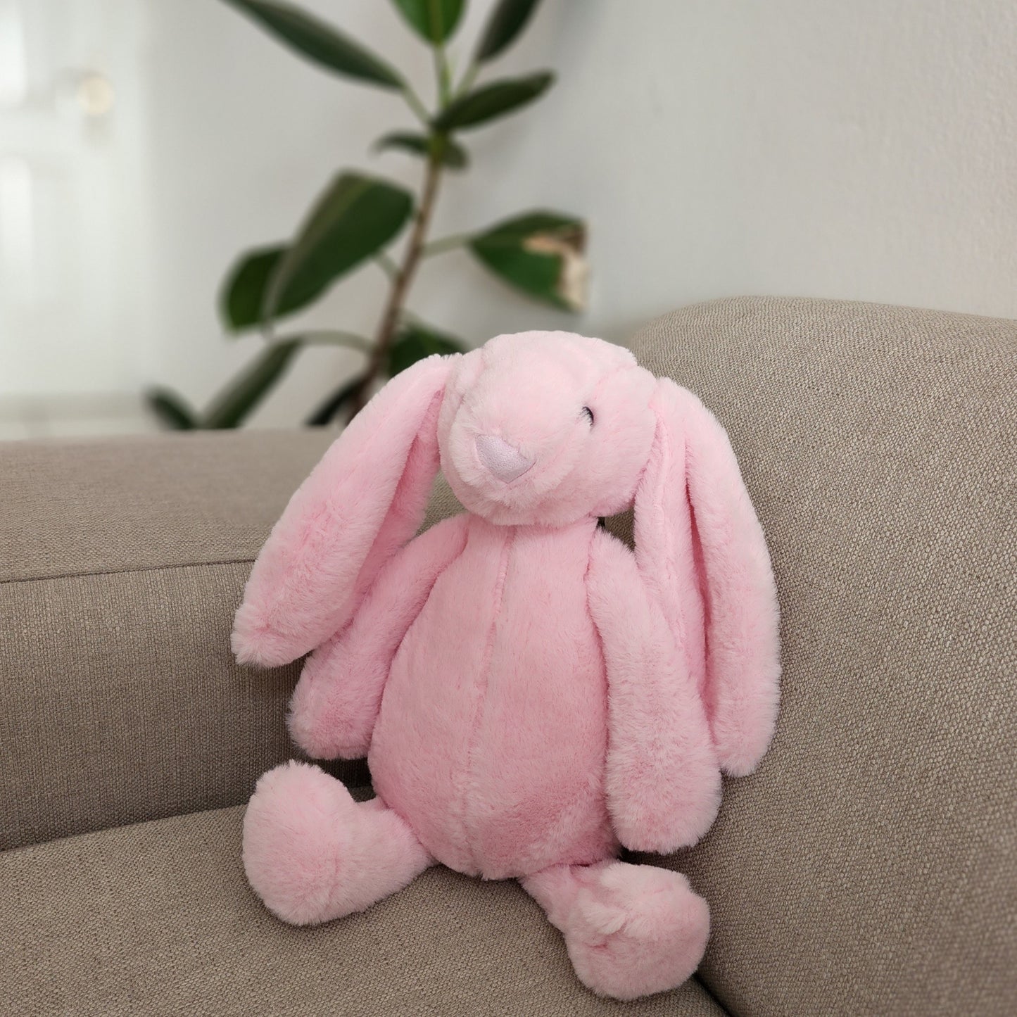 Floppy Eared Bunny Teddy