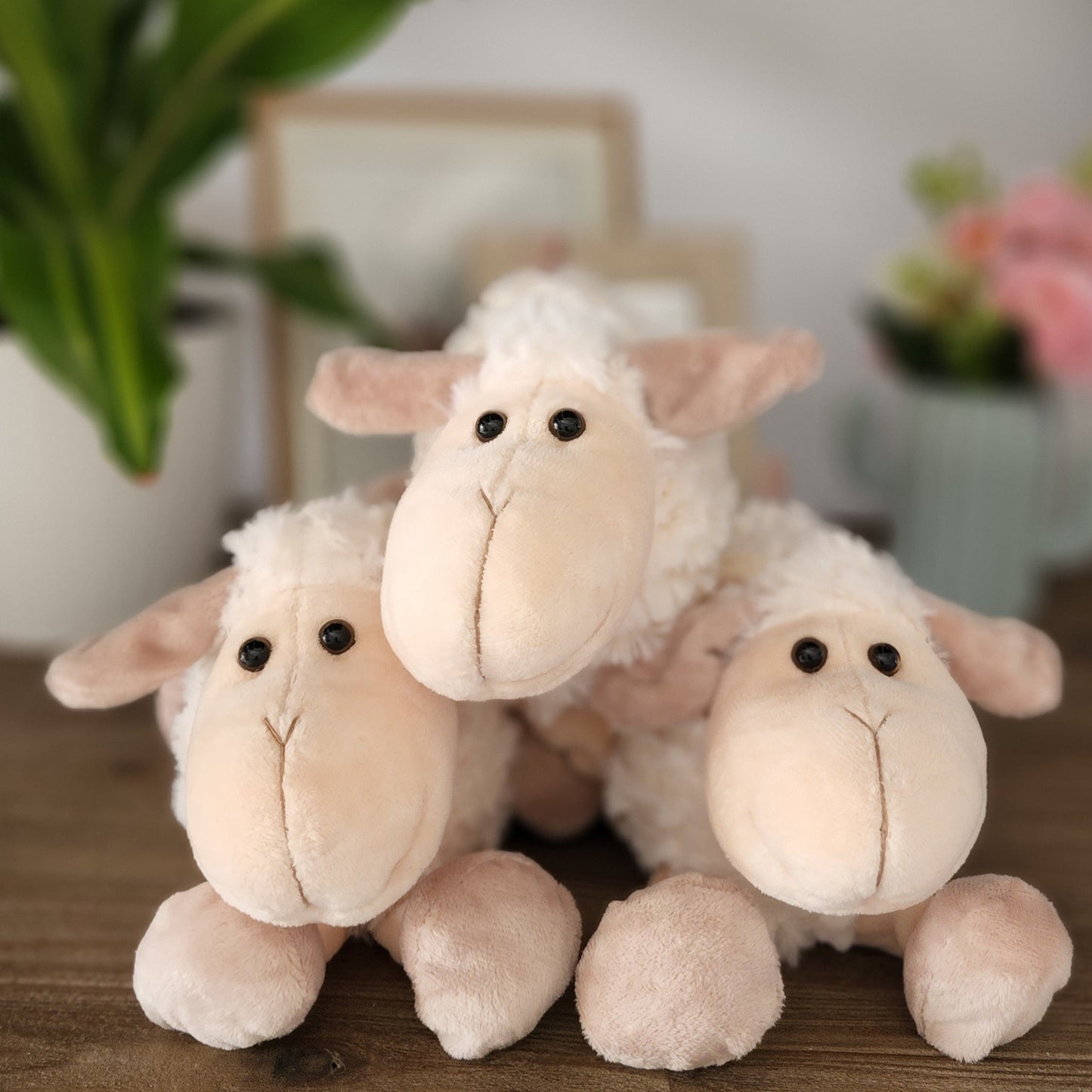 Floppy Fuzzy Sheep