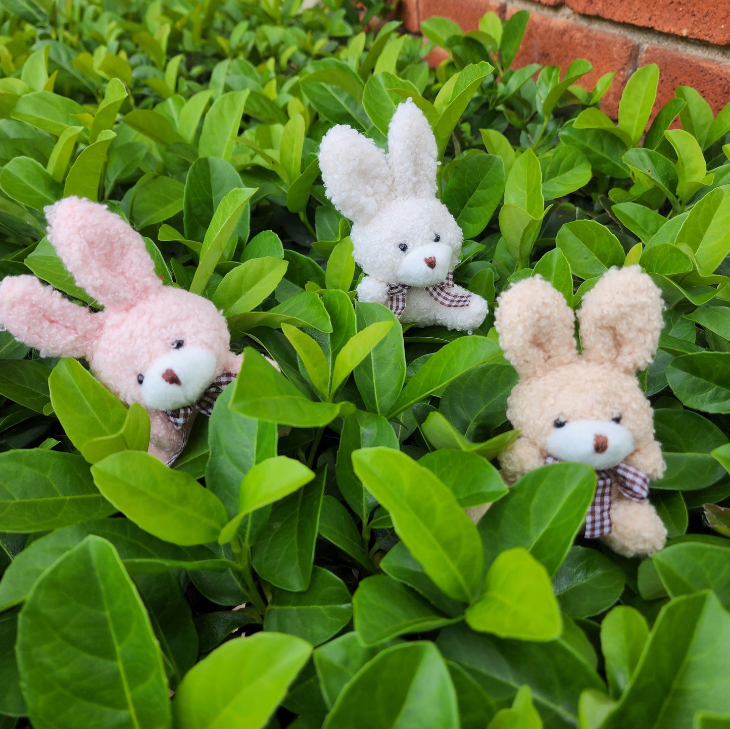 Fuzzy Bunny Keychain