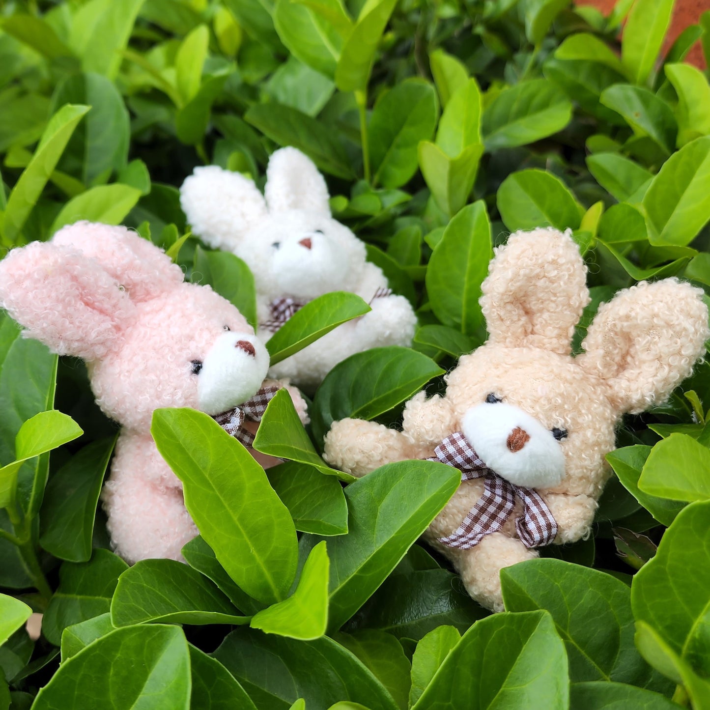 Fuzzy Bunny Keychain