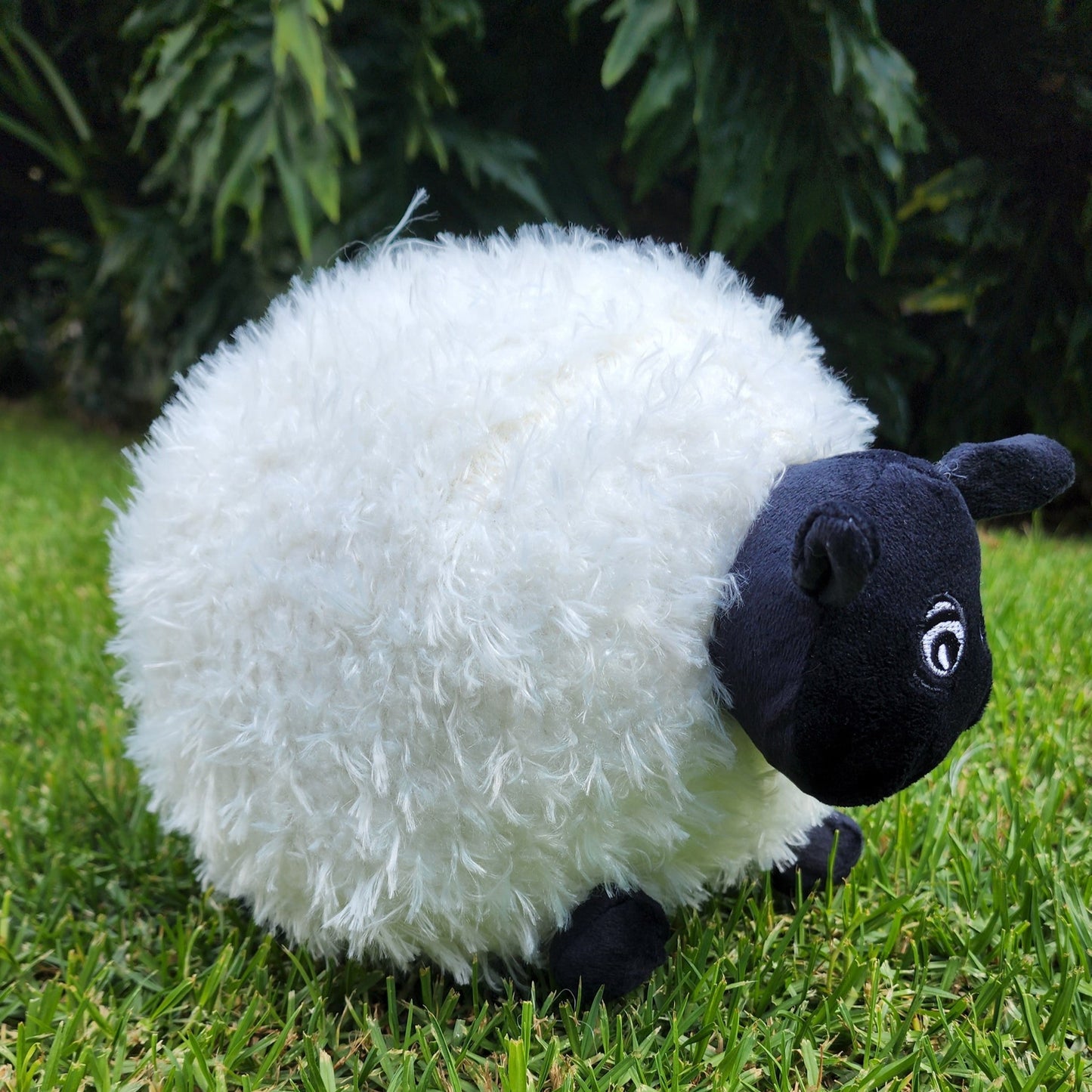 Fluffy Round Sheep