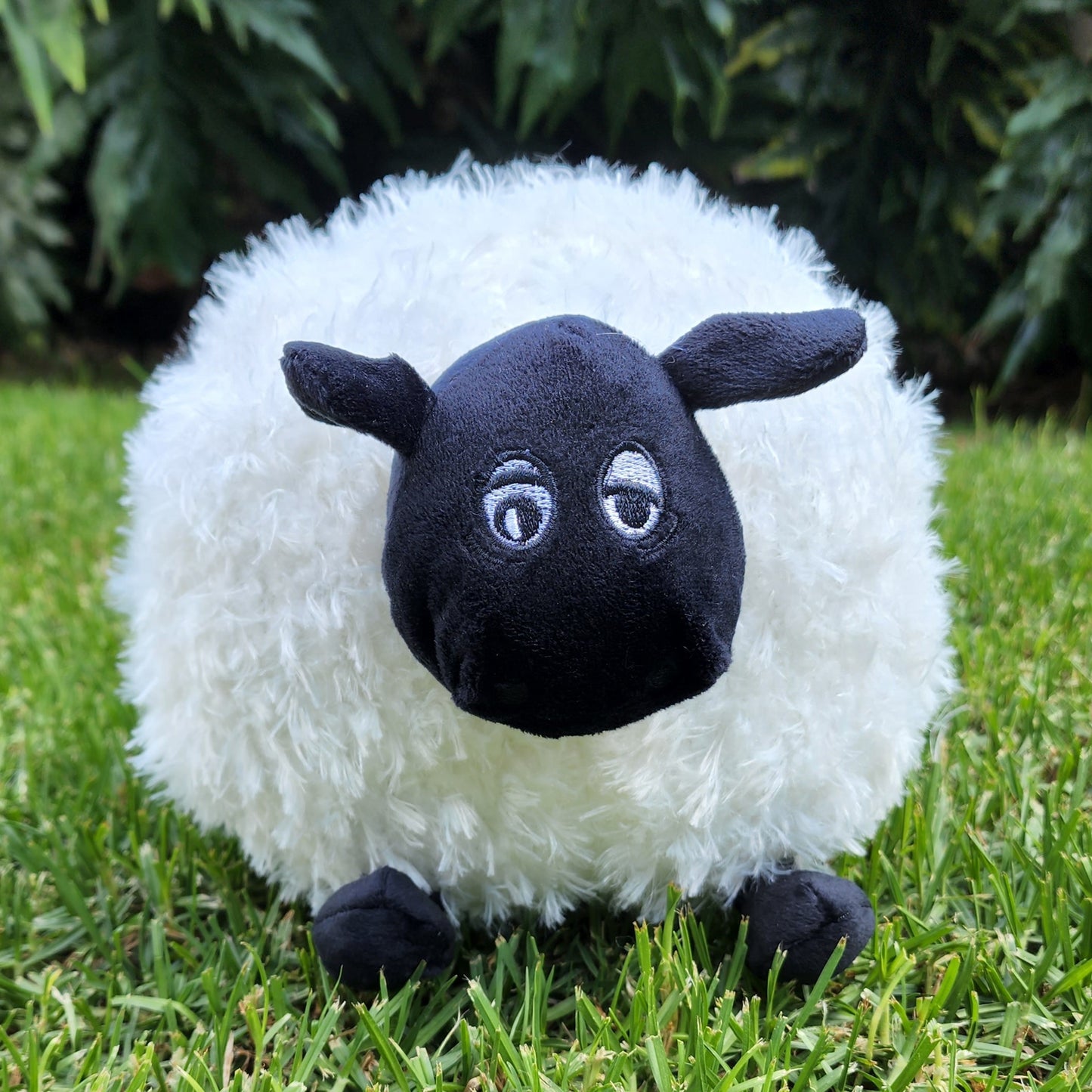 Fluffy Round Sheep