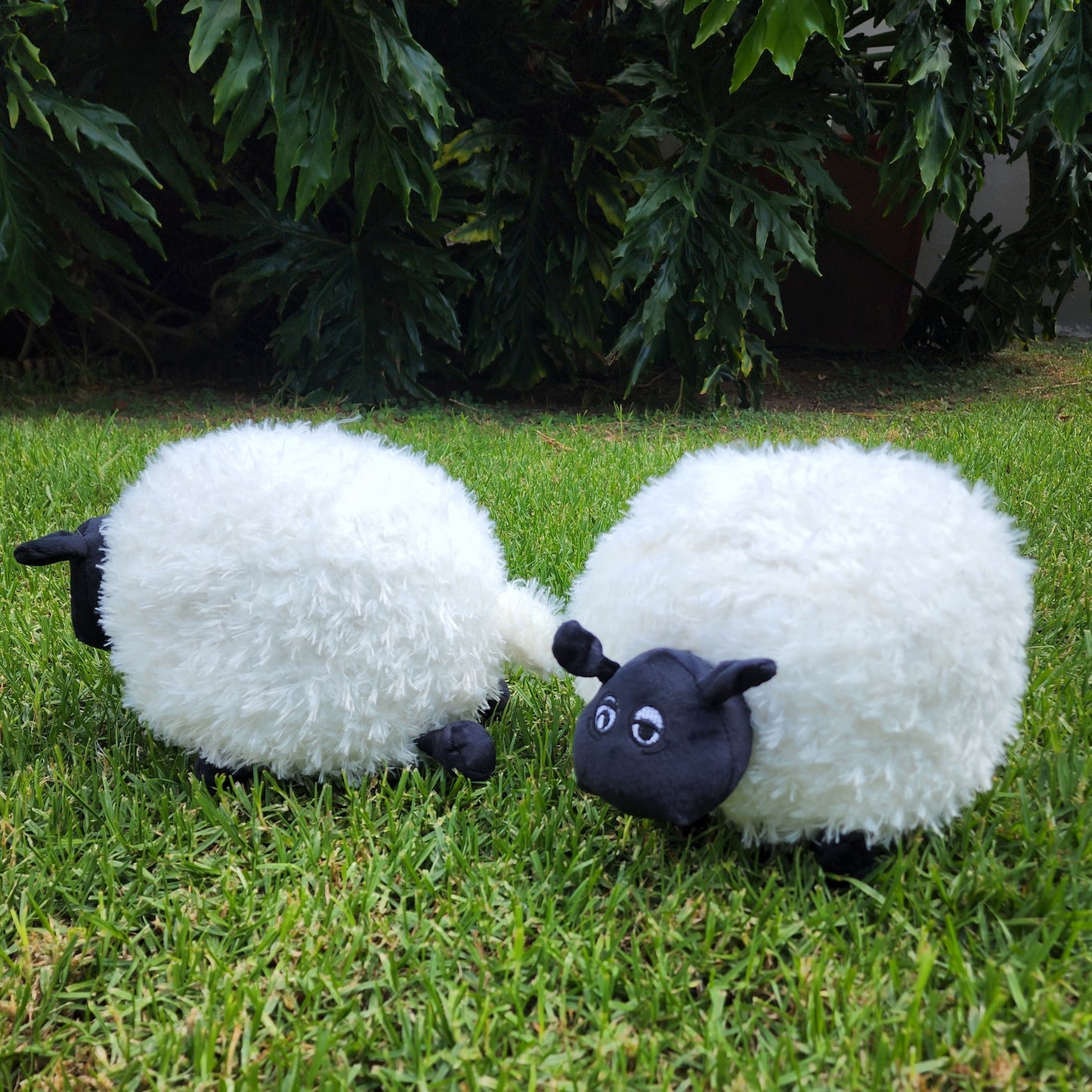 Fluffy Round Sheep