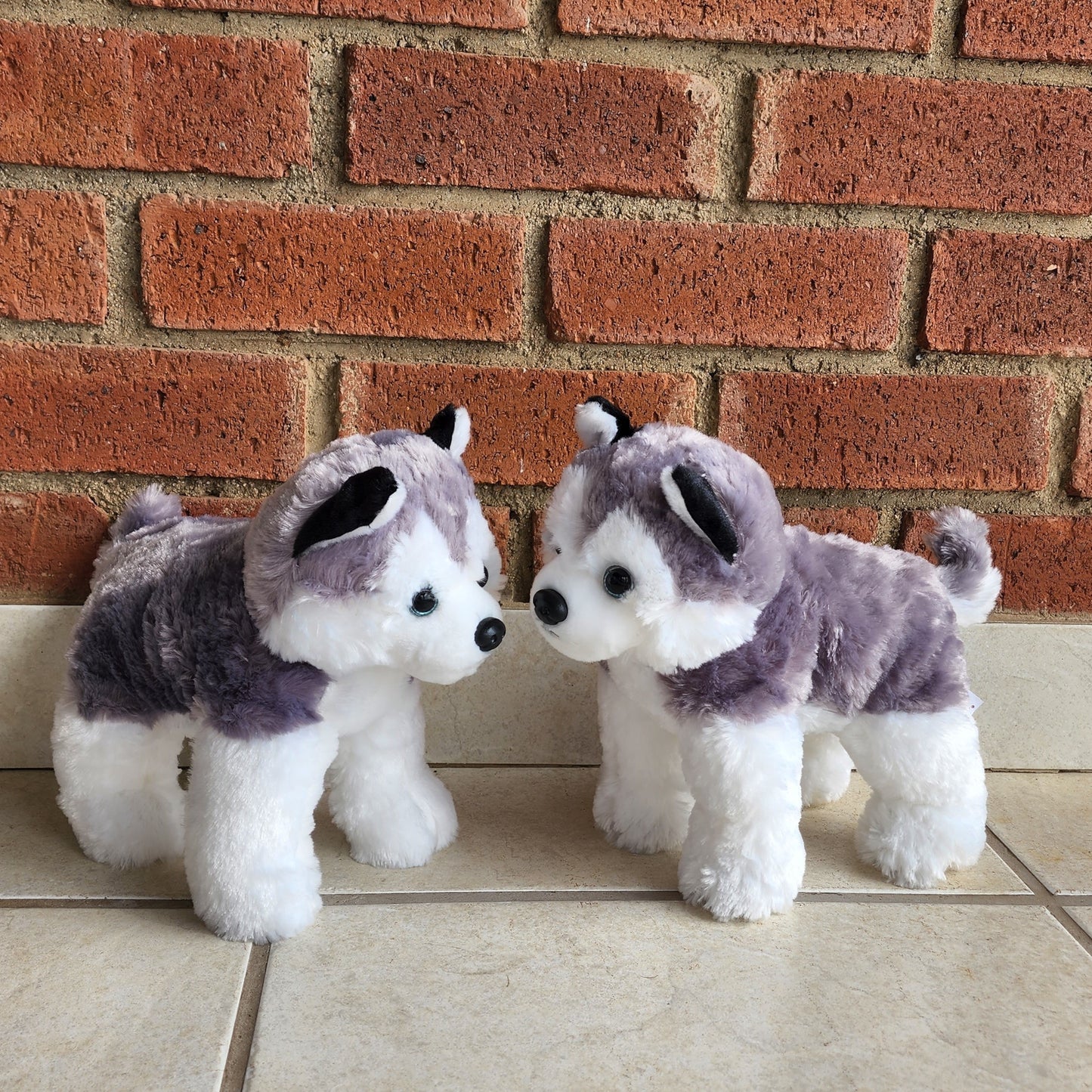 Husky Plushie