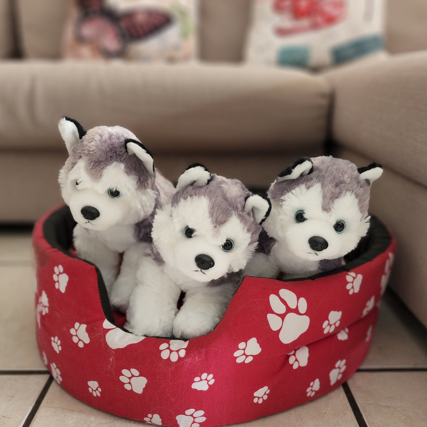 Husky Plushie