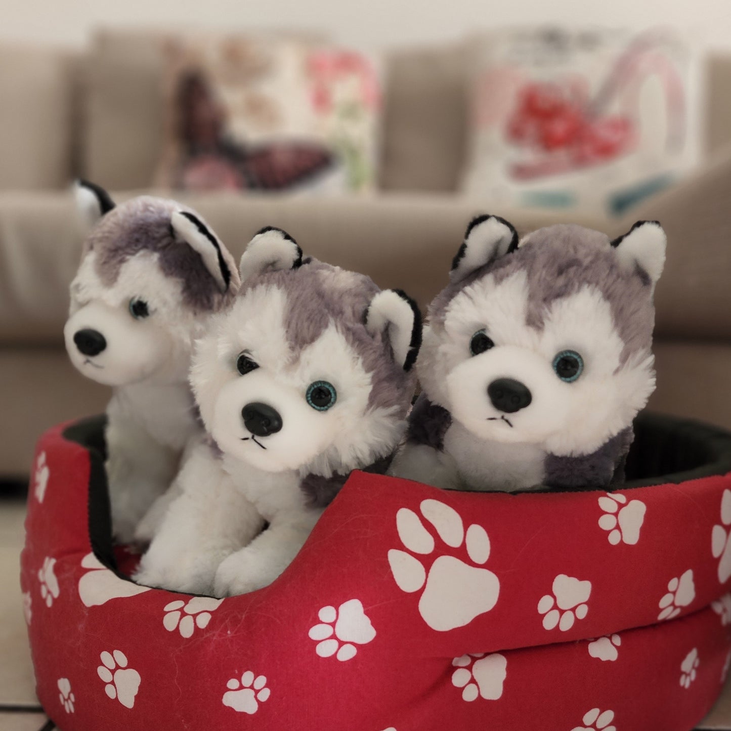 Husky Plushie